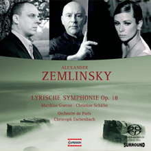 Zemlinsky